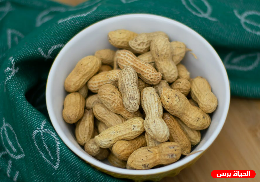 فوائد الفول السوداني للعضلات